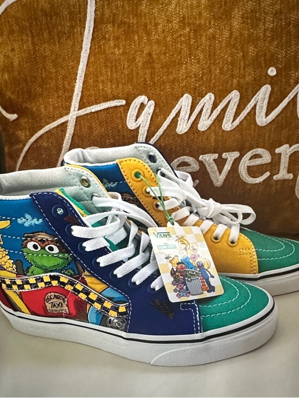 Vans High Top Sneakers in Teal, Blue, Yellow & Green with Sesame Street Art